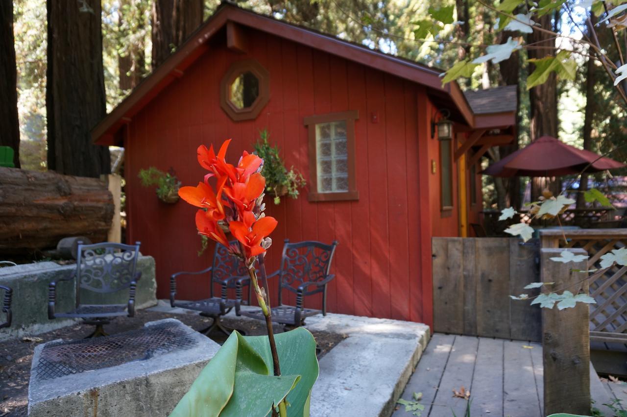 Riverside Campground & Cabins 大苏尔 外观 照片